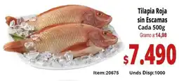 Mercamio Tilapia roja sin escamas cada oferta