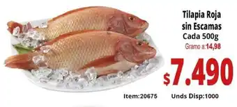 Mercamio Tilapia roja sin escamas cada oferta