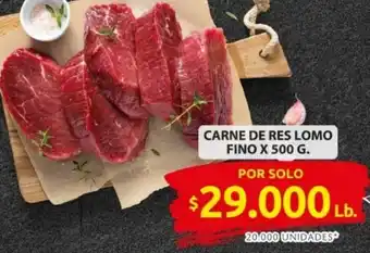 Ara Carne de res lomo fino oferta