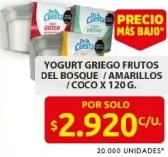 Ara Yogurt griego frutos del bosque / amarillos /coco oferta