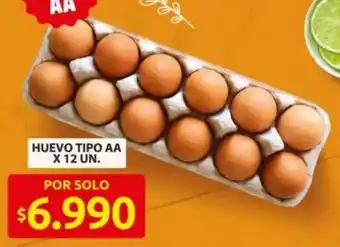 Ara Huevo tipo AA oferta