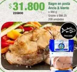 Jumbo Bagre en posta ancla & viento oferta