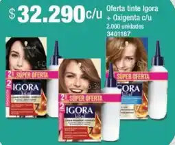 Jumbo Igora oferta tinte + oxigenta oferta