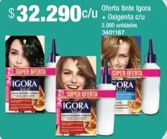 Jumbo Igora oferta tinte + oxigenta oferta