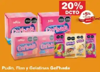 Makro Pudin, flan y gelatinas gel'hada oferta