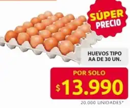 Ara Huevos tipo AA oferta