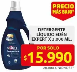 Ara Edén expert detergente líquido oferta