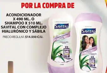Ara Acondicionador o shampoo s oferta