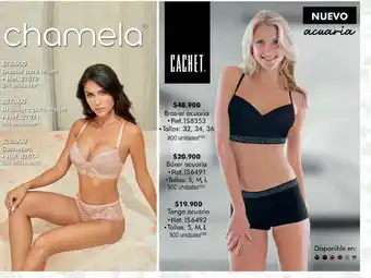 Jumbo Ropa interior cachet oferta