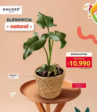 Ara Smuxee matera rattan oferta
