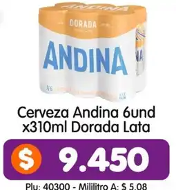 Surtifamiliar Andina cerveza oferta