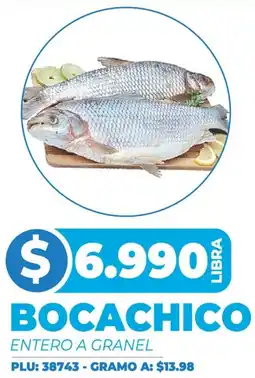 Surtifamiliar Bocachico oferta