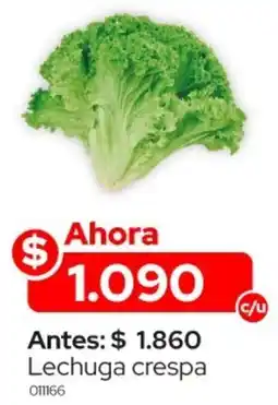 La Vaquita Supermercados Lechuga crespa oferta