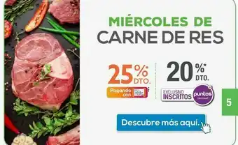 Jumbo Carne de res oferta