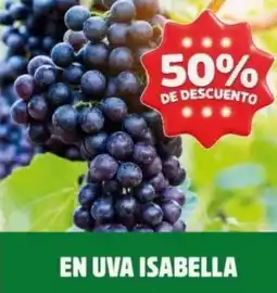 Ara En uva isabella oferta