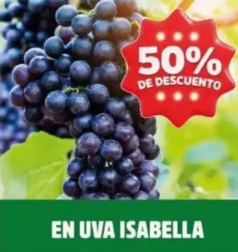 Ara En uva isabella oferta