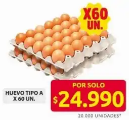 Ara Huevo tipo A oferta