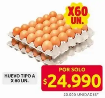 Ara Huevo tipo A oferta