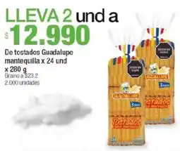 Jumbo De tostados guadalupe mantequilla oferta