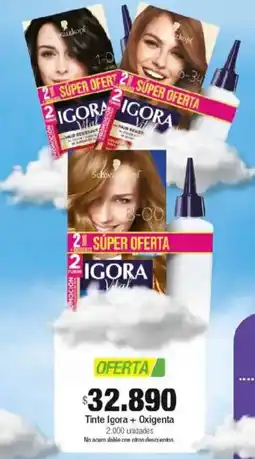 Jumbo Tinte igora + oxigenta oferta
