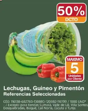 Makro Lechugas, guineo y pimentón referencias seleccionadas oferta