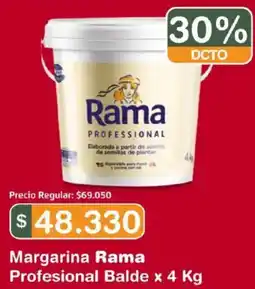 Makro Rama margarina profesional balde oferta