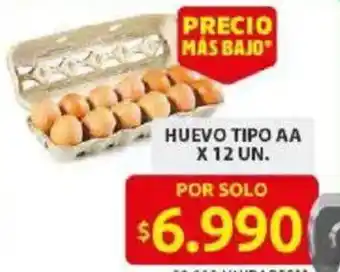 Ara Huevo tipo AA oferta