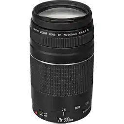 Falabella Lente EF 75-300mm f4-56 III oferta