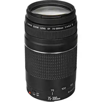 Falabella Lente EF 75-300mm f4-56 III oferta