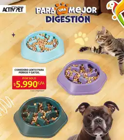 Ara Comedero lento para perros y gatos oferta