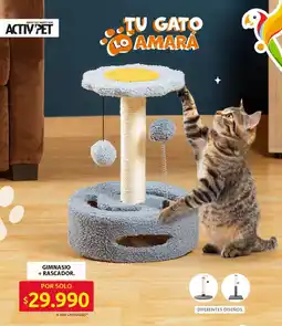 Ara Gimnasio + rascador oferta