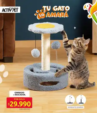 Ara Gimnasio + rascador oferta