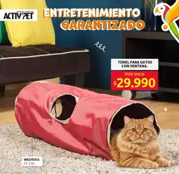 Ara Túnel para gatos con ventana oferta