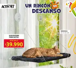 Ara Asoleadora para gatos oferta