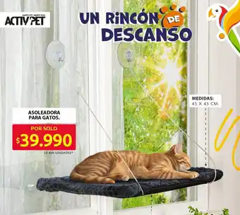 Ara Asoleadora para gatos oferta