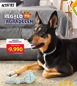 Ara Juguete para mascotas oferta