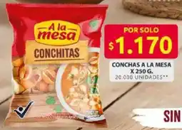 Ara A la mesa conchas oferta