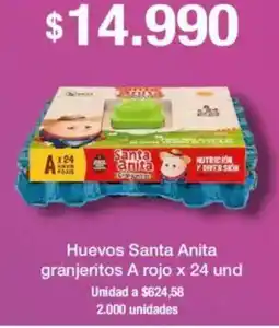 Jumbo Huevos santa Anita granjeritos A oferta