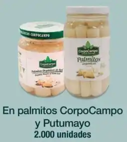 Jumbo Corpocampo en palmitos y putumayo oferta