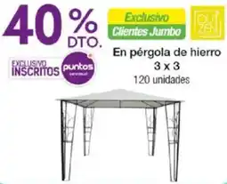 Jumbo En pérgola de hierro oferta