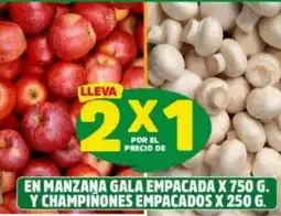 Ara En manzana gala empacada oferta