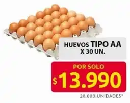 Ara Huevos tipo AA oferta