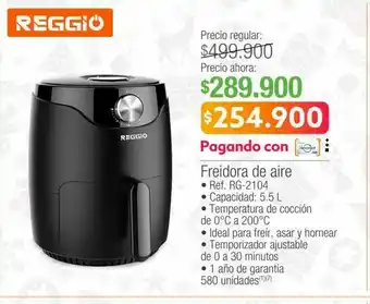 Jumbo Freidora rggio oferta