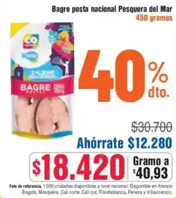 Alkosto Bagre posta nacional pesquera del mar oferta