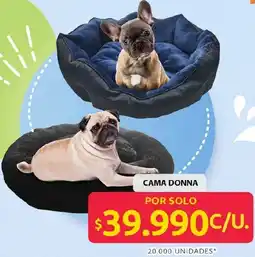 Ara Cama donna oferta