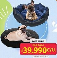 Ara Cama donna oferta