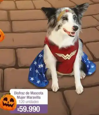 Jumbo Disfraz de mascota mujer maravilla oferta