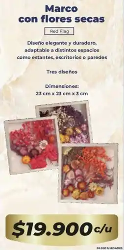 Tiendas D1 Red flag marco con flores secas oferta