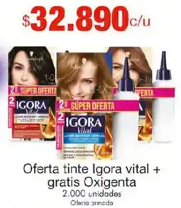 Metro Igora vital oferta tinte + gratis oxigenta oferta