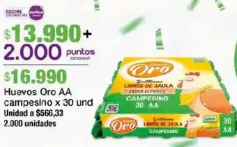 Huevos oro AA campesino